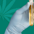 How Long Does CBD Stay in Your System for a Hair Follicle Test?